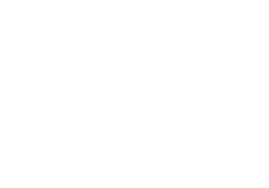 Logo_SalesForce_L-300x210