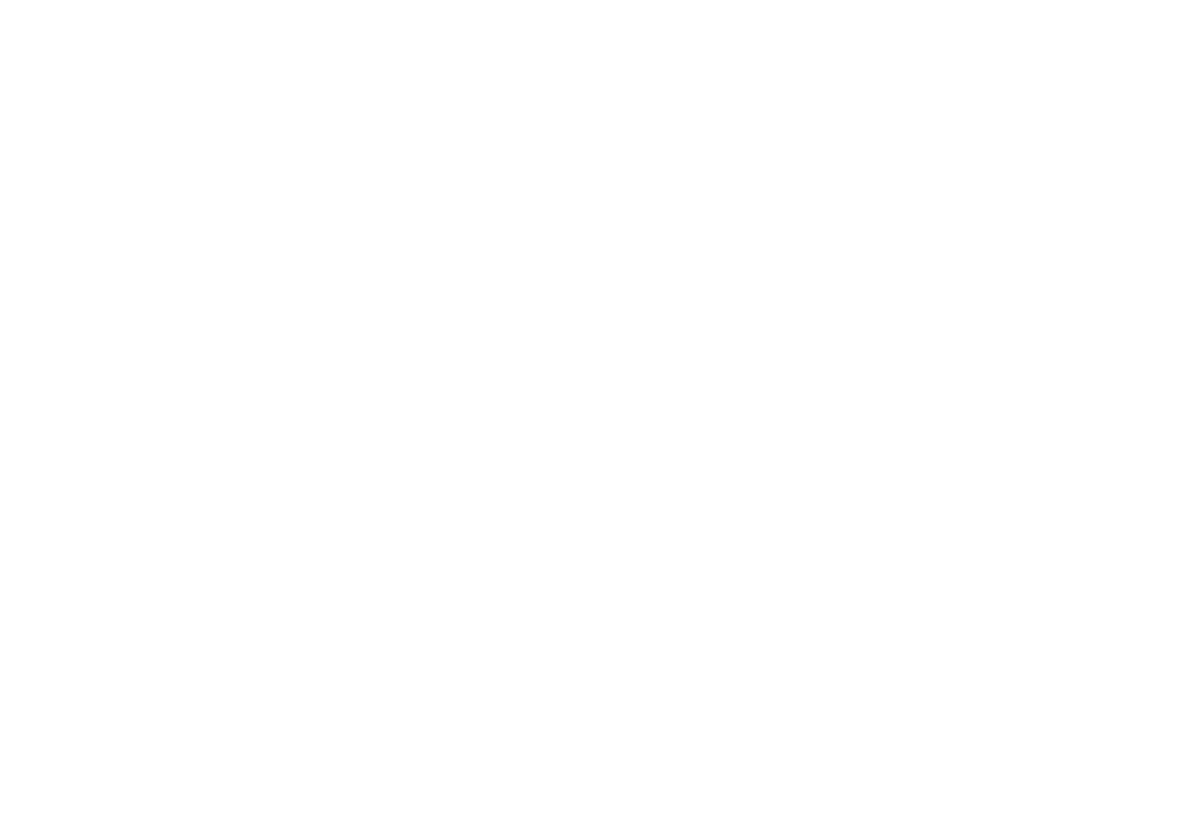 HubSpot Partner