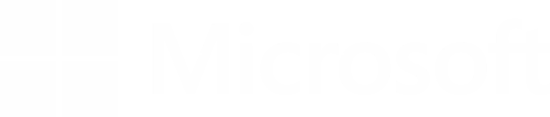 Microsoft Partner